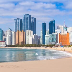 Busan Highlights Private Car Tour (11 Hours)